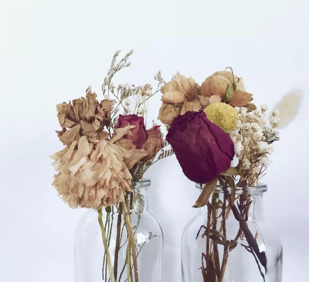 永生花制作方法视频直播,永生花插花制作方法