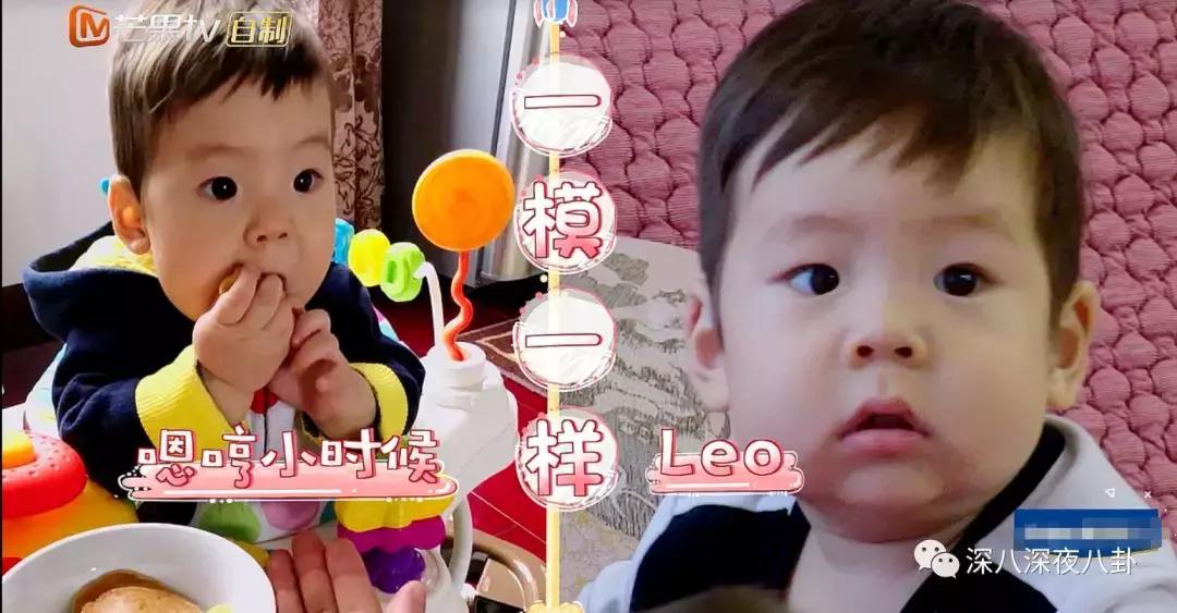 霍思燕为什么称小短手,霍思燕短手照片