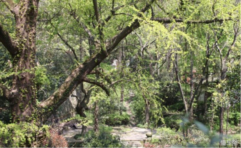 #爵色倾城#MG6和我的第一次春游