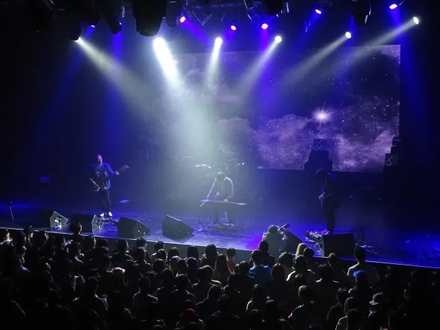 沼泽乐队1911,沼泽乐队2024巡演