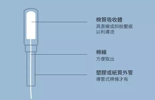 潜水期间，大姨妈来了怎么办？