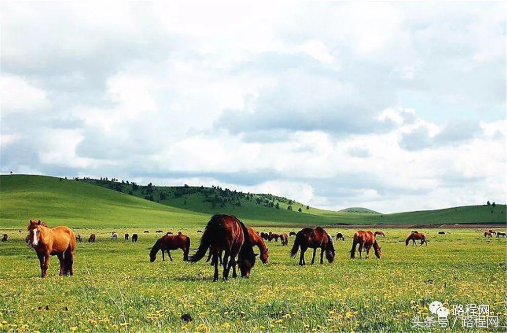 河北露营基地前景,中国露营营地市场规模