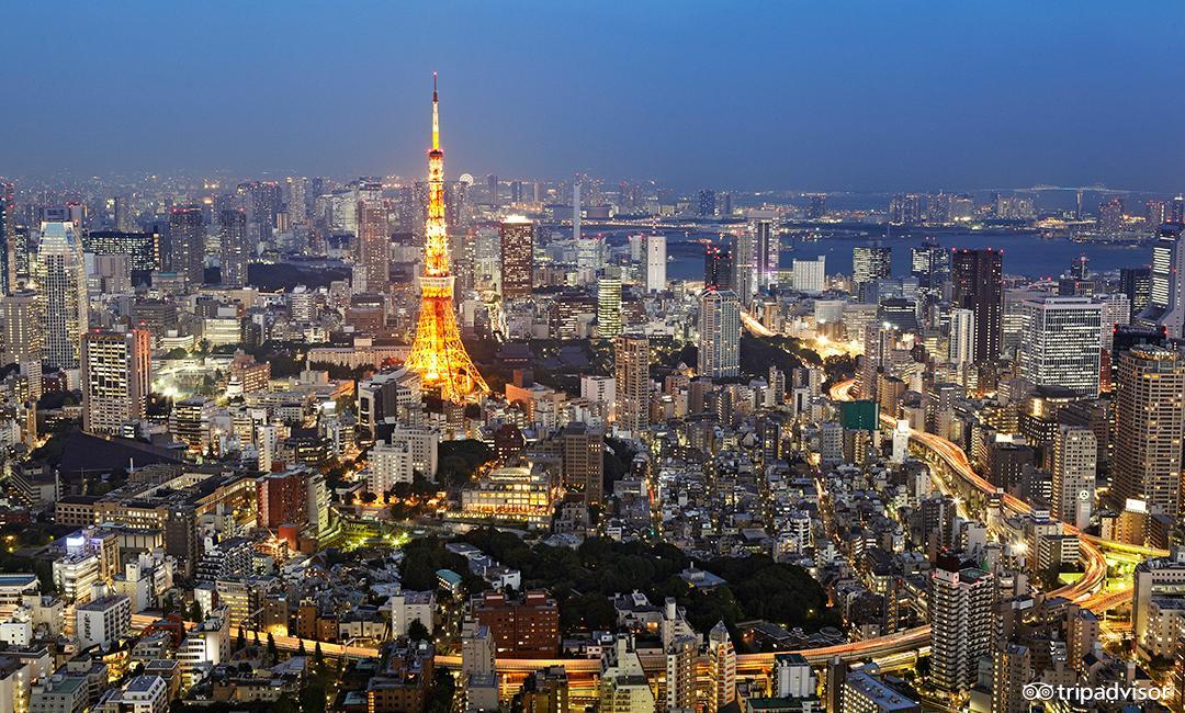 想体验头等舱选哪个飞机,外出旅行要选择哪种航空公司