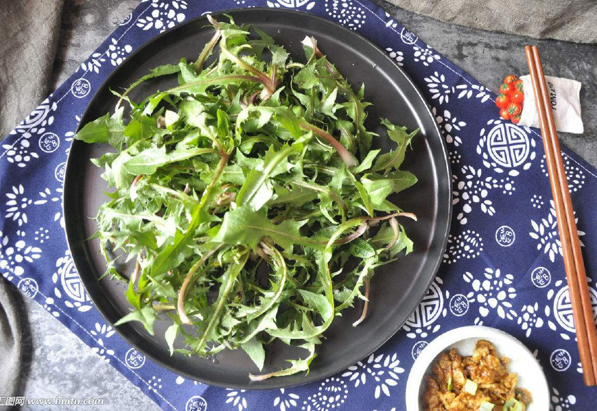 婆婆丁是蒲公英的别名,婆婆丁的学名是蒲公英吗