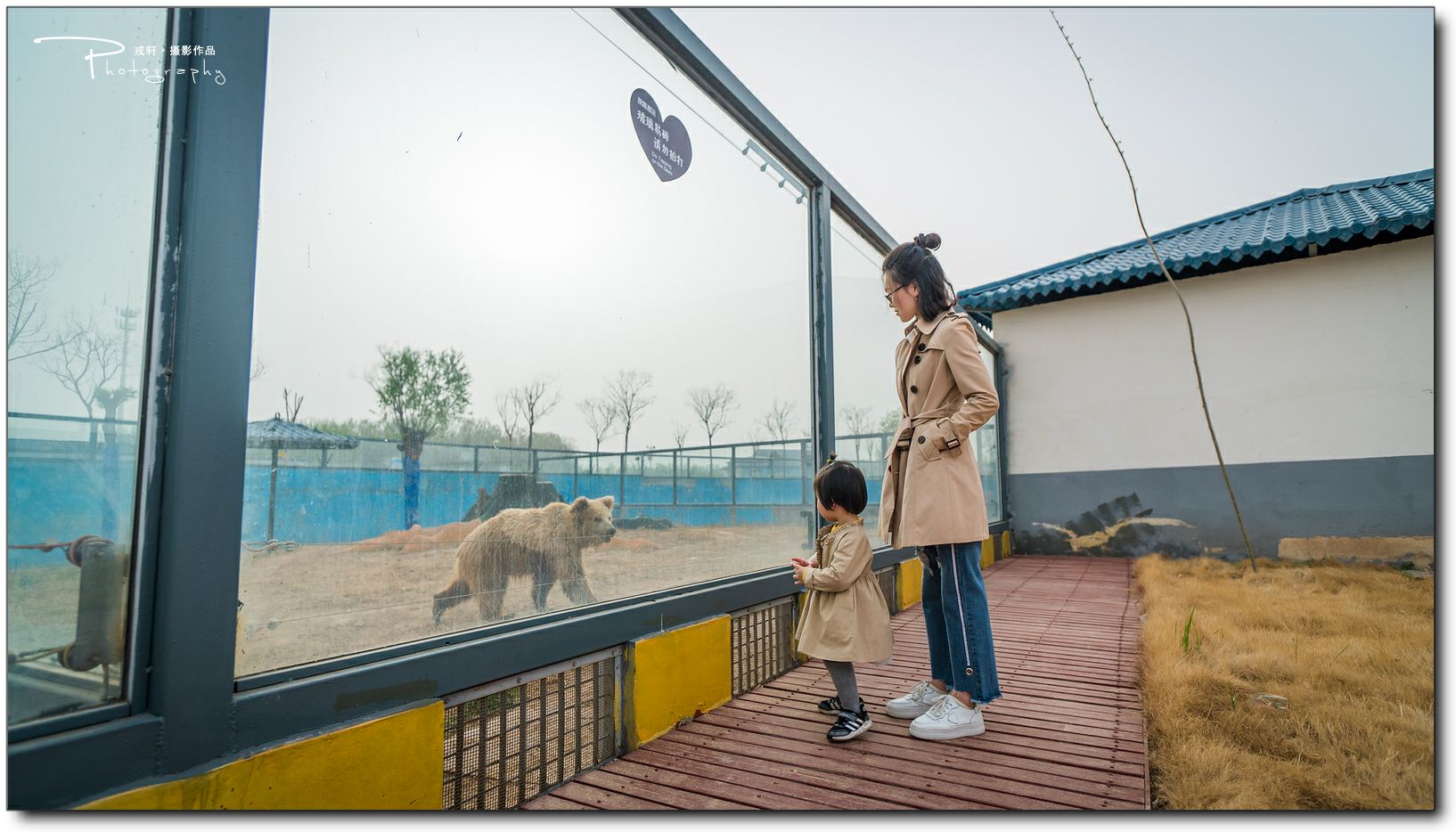 鍔ㄧ墿鍥悓瀹犳涔愬,鍔ㄧ墿鍥噹鐢熷姩鐗╃伅鍏夌