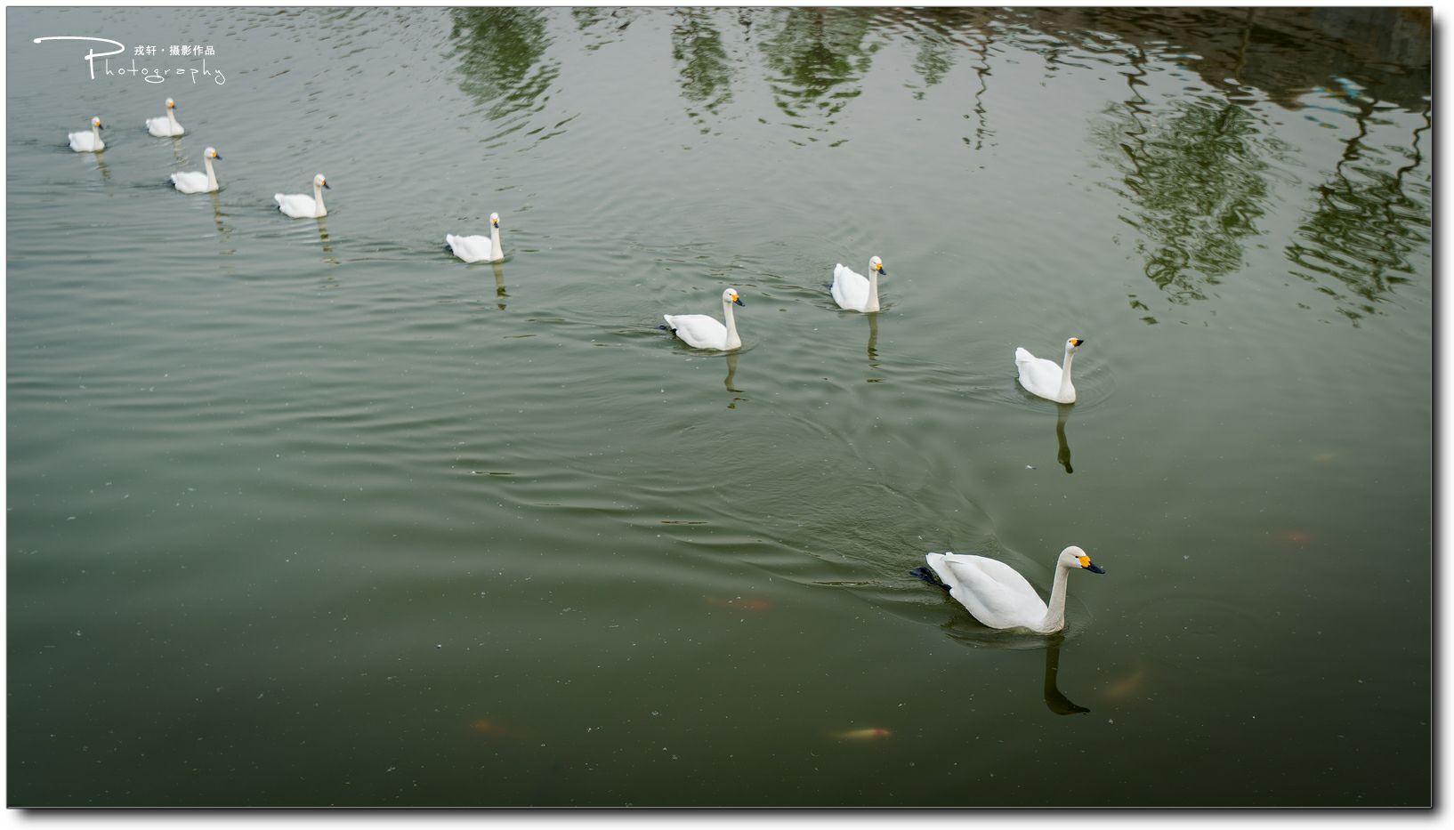 鍔ㄧ墿鍥悓瀹犳涔愬,鍔ㄧ墿鍥噹鐢熷姩鐗╃伅鍏夌