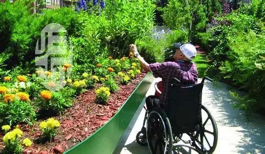 改善情绪、减轻疼痛,不妨试试园艺疗法!