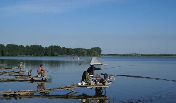 哈尔滨野狼湖,为东北最大的内陆平原湖,是野生狼栖息的天然场所
