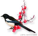 踏青时节，你知道如何防晒吗？