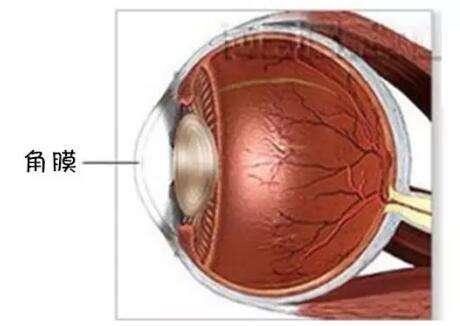 角膜炎结膜炎致眼流泪,角膜炎结膜炎眼部充血用什么药