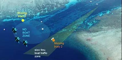 帕劳出行攻略详细,帕劳国内怎么去