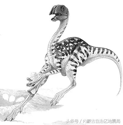 洗干净的恐龙,不可驯服的恐龙