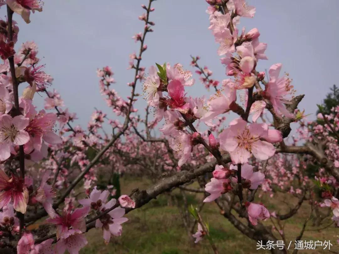 赤壁人在外打工现状,湖北赤壁人在浙江丽水打工