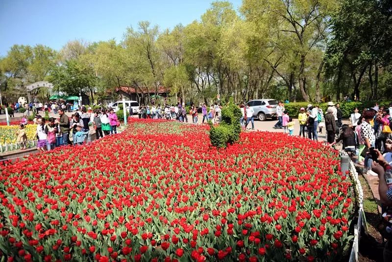 这样的*疆新**人，怎么能不可爱呢！