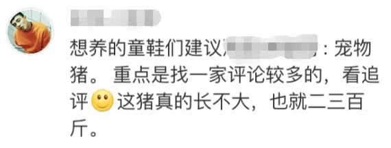 民生｜“小猪佩奇”出事了！大学生寝室养猪被通报，学校：快送走！