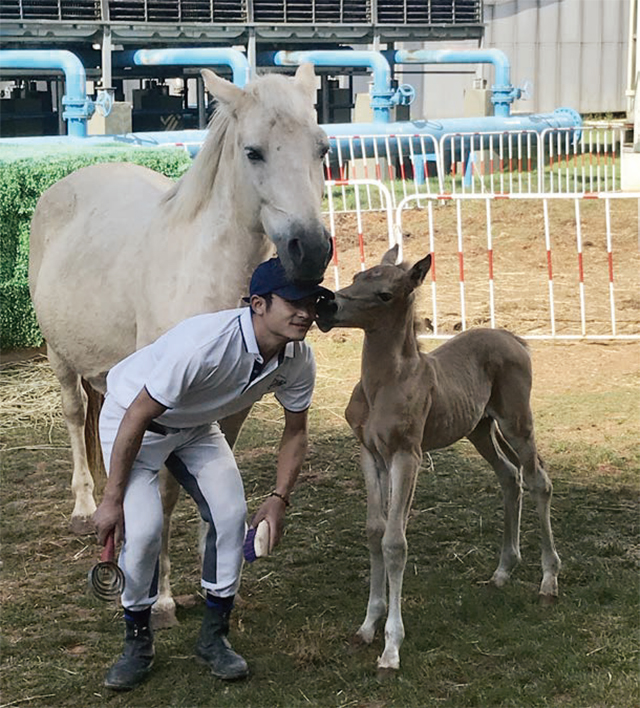 天空中那匹“不同”的马，一位马术俱乐部经营者的心声