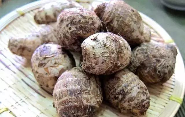 魔芋和香芋是不是一个东西,你们知道芋头和魔芋有啥区别吗