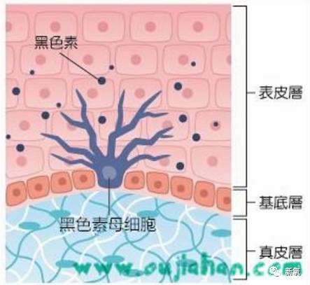 孙怡涂粉,孙怡裹腿美白大法