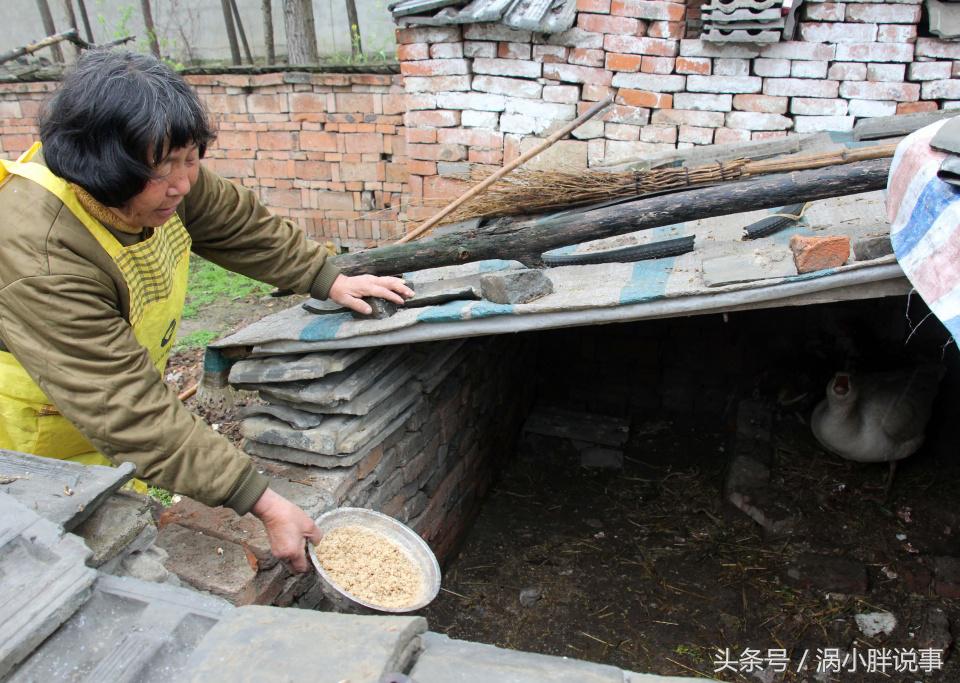 咸鹅蛋腌制方法,腌制咸鹅蛋的方法