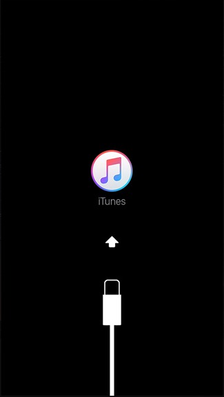 iphone一直显示苹果图标无法启动,iphone更新断电无法启动