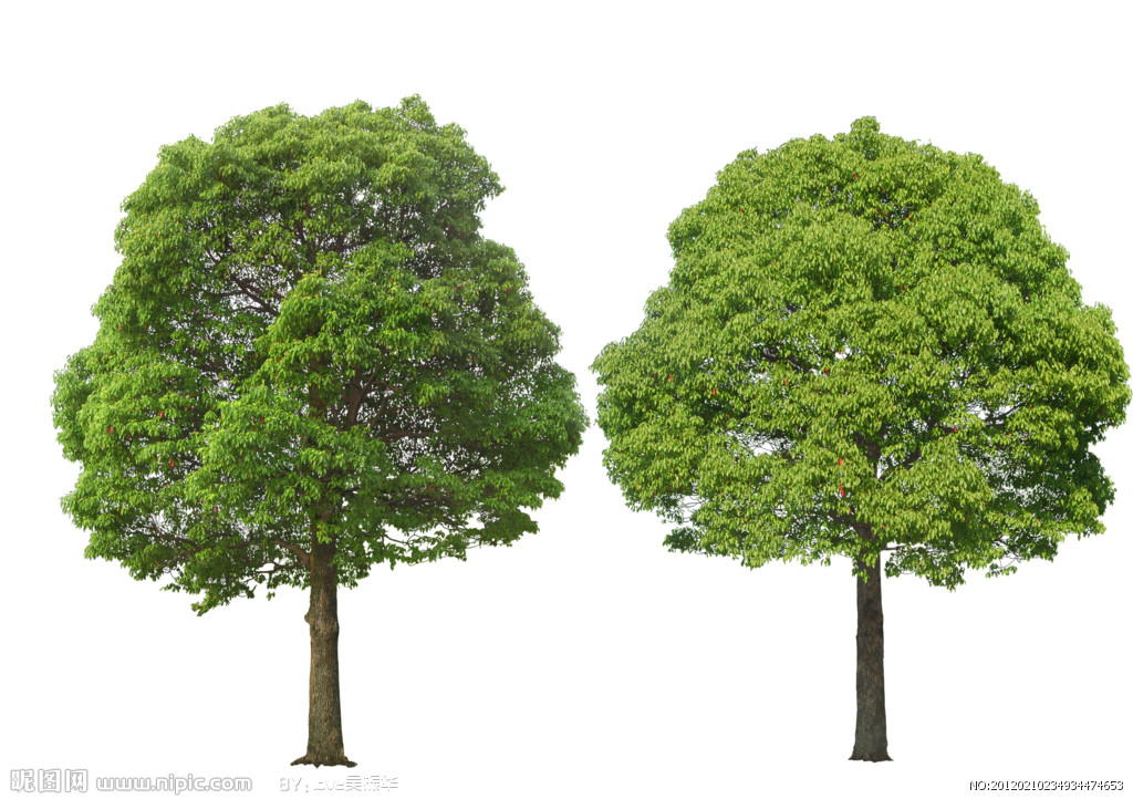 美丽江山风景区,浙江衢州江山市