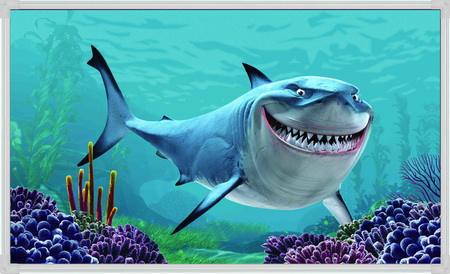 海边游玩鲨鱼,海边游玩注意事项