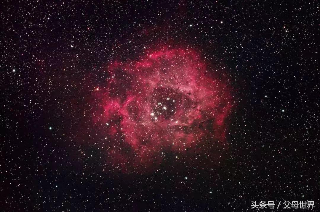 世界地球日，最适合孩子看的18部自然纪录片，趁周末，带娃看起来