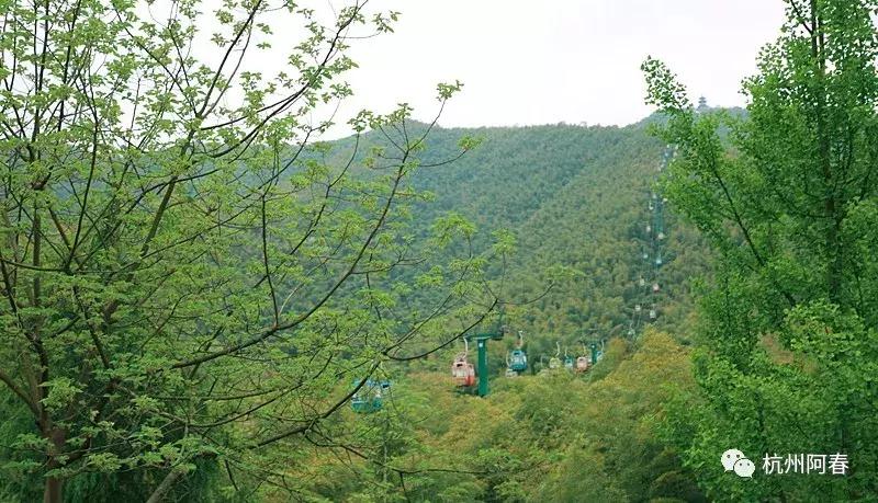 神游世外桃源完整视频,神游仙居景区