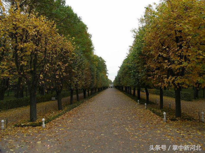 阴道竟然如此美丽