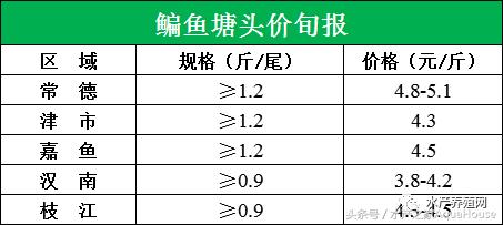 水产塘口每日最新报价,水产频道淡水鱼今日行情
