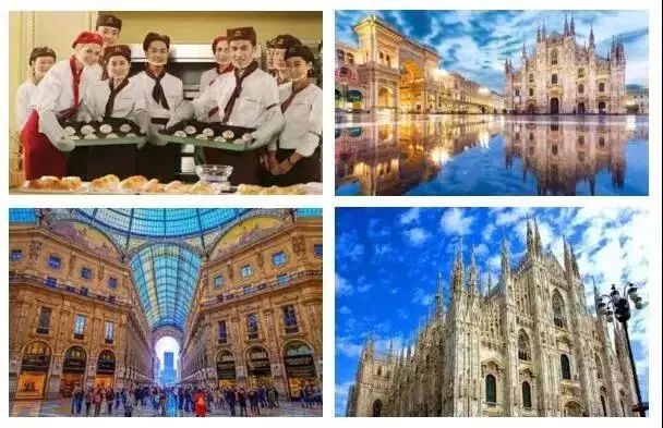 欧米奇西餐料理作品,欧米奇西餐作品