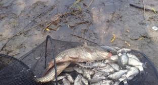 广西南宁钓鱼钓点,广西最新钓鱼技巧