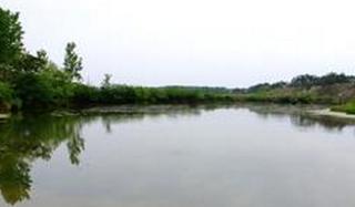 广西南宁钓鱼钓点,广西最新钓鱼技巧