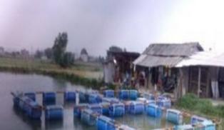 广西南宁钓鱼钓点,广西最新钓鱼技巧