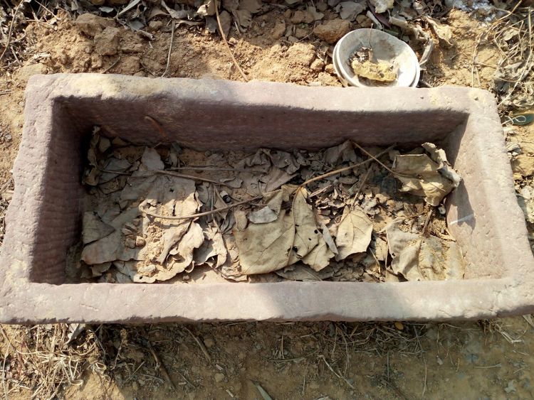 收藏的乐趣在哪里,收藏的乐趣优秀作文