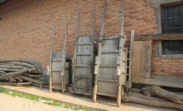 收藏的乐趣在哪里,收藏的乐趣优秀作文