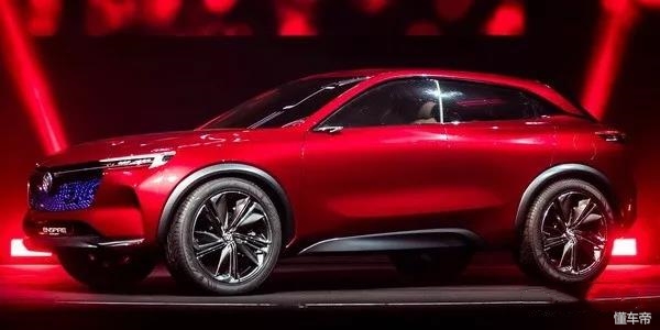 新雅阁配置价位,新雅阁主力版