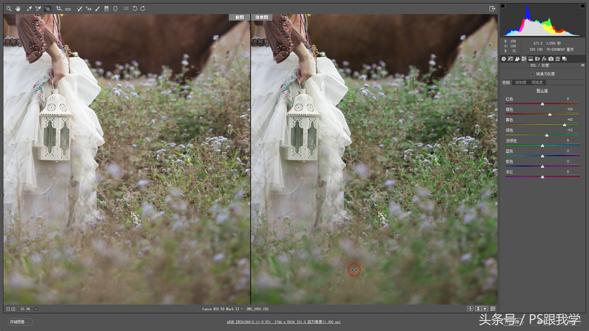 adobecameraraw工具怎么添加,cameraraw首选项怎么设置