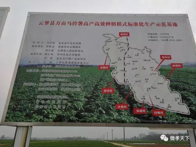 为什么孝感的特产是麻糖米酒,孝感除了麻糖米酒还有哪些