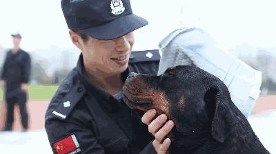 走进神秘警犬基地！解密“神犬”是怎样炼成的……