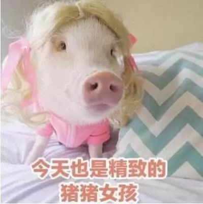 把小猪佩奇纹在身上,小猪佩奇身上纹的梗出处