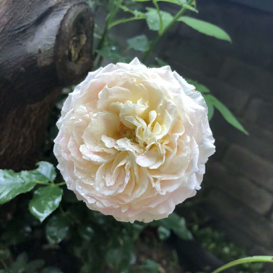 汉新闻:“五一”放假通知已下发,“花开不败”摄影大赛在线等