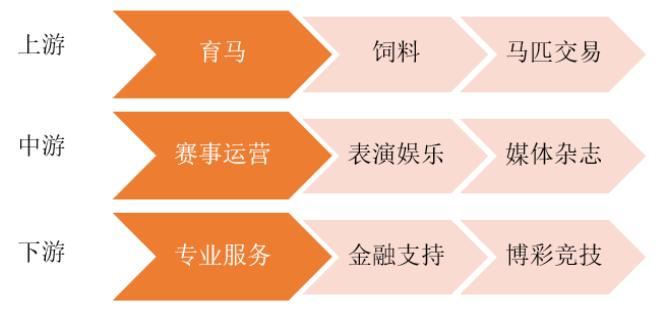 赛马产业最新政策,2024海南赛马运动政策文件