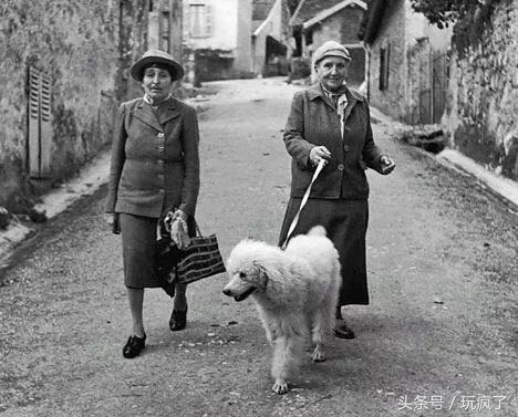 世界最美书店图片,世界最美书店在我们身边