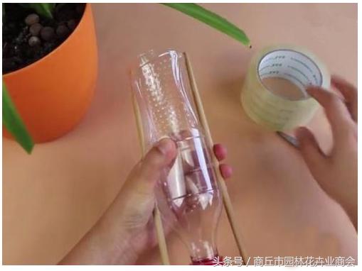 塑料瓶怎么做成浇花的瓶子,废弃瓶子制作浇花神器妙招