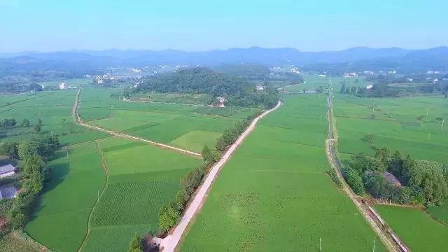 游仙区第五届旅游节,游仙区第六届乡村旅游节