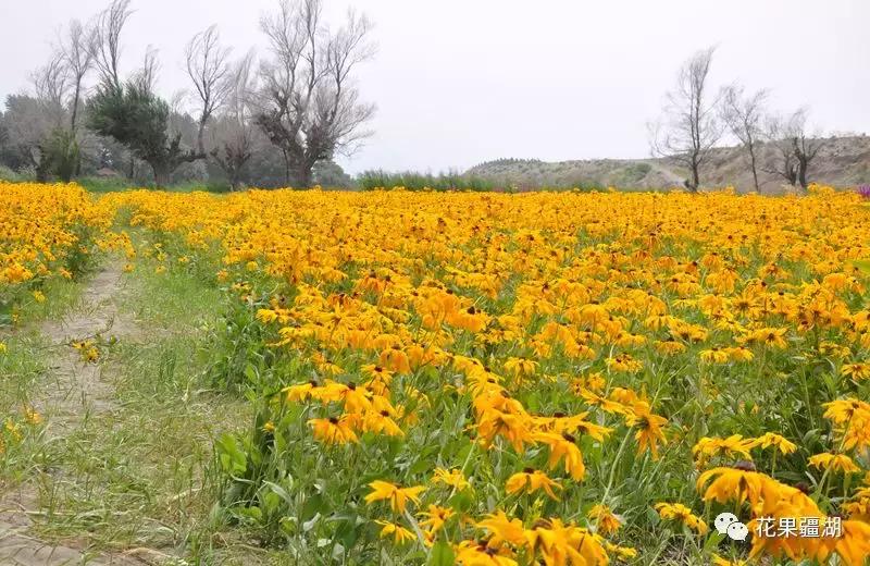 2022年乌鲁木齐5月1日放假几天,乌鲁木齐市周六日都放假了吗