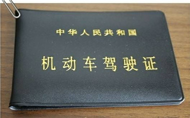 驾驶证怎么查真假国外的,查驾驶证怎么查真假