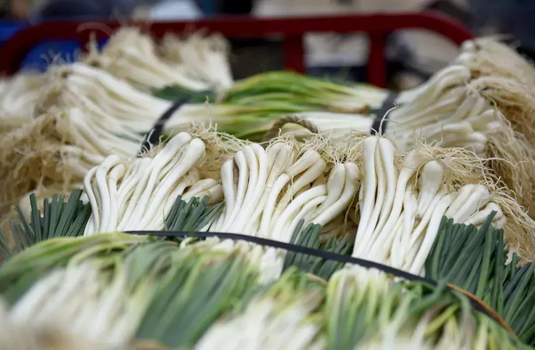 一人一斤“爱心藠”！齐心帮阳春石湖藠农度难关，功效也神奇！