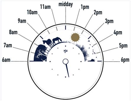 任天堂labo纸质箱,任天堂labo宣传视频